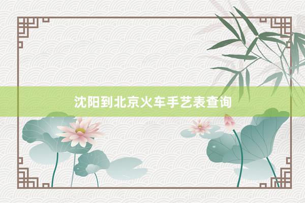 沈阳到北京火车手艺表查询