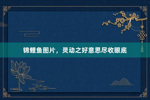 锦鲤鱼图片，灵动之好意思尽收眼底