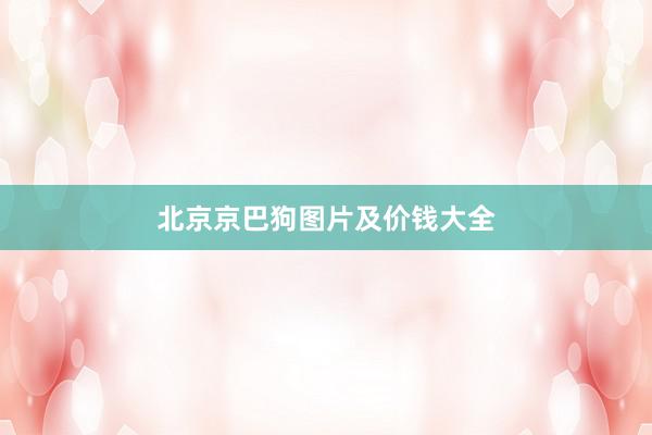 北京京巴狗图片及价钱大全