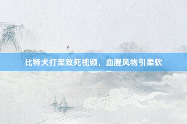 比特犬打架致死视频，血腥风物引柔软