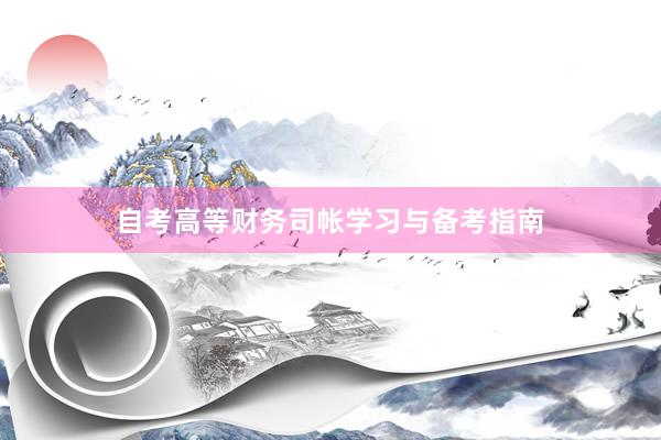 自考高等财务司帐学习与备考指南